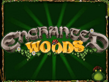 Enchanted Woods